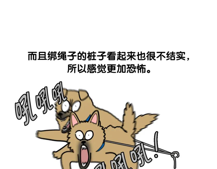 《我的狗子叫棉花》第36话 其他狗狗 第47页