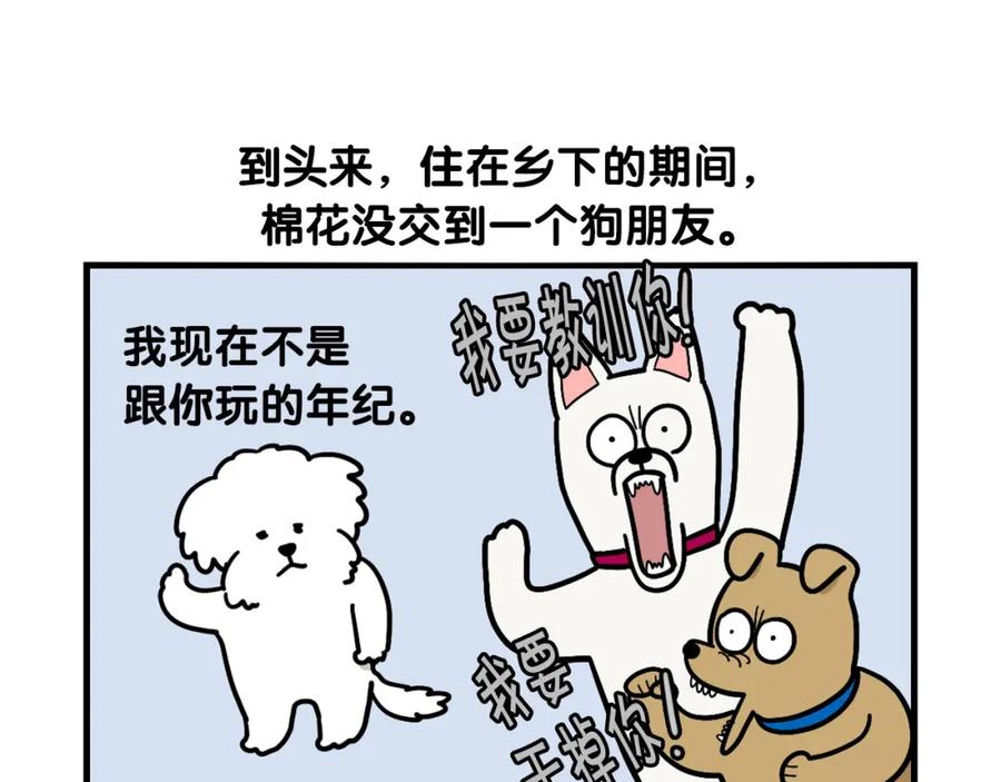 《我的狗子叫棉花》第36话 其他狗狗 第80页