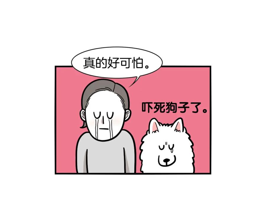 《我的狗子叫棉花》第36话 其他狗狗 第69页