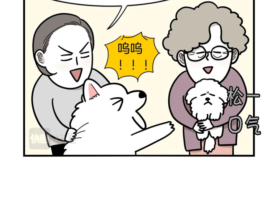 《我的狗子叫棉花》第36话 其他狗狗 第23页