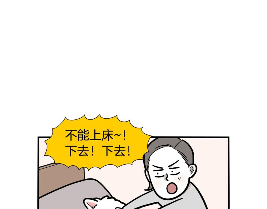 《我的狗子叫棉花》第37话 放屁狗狗 第63页