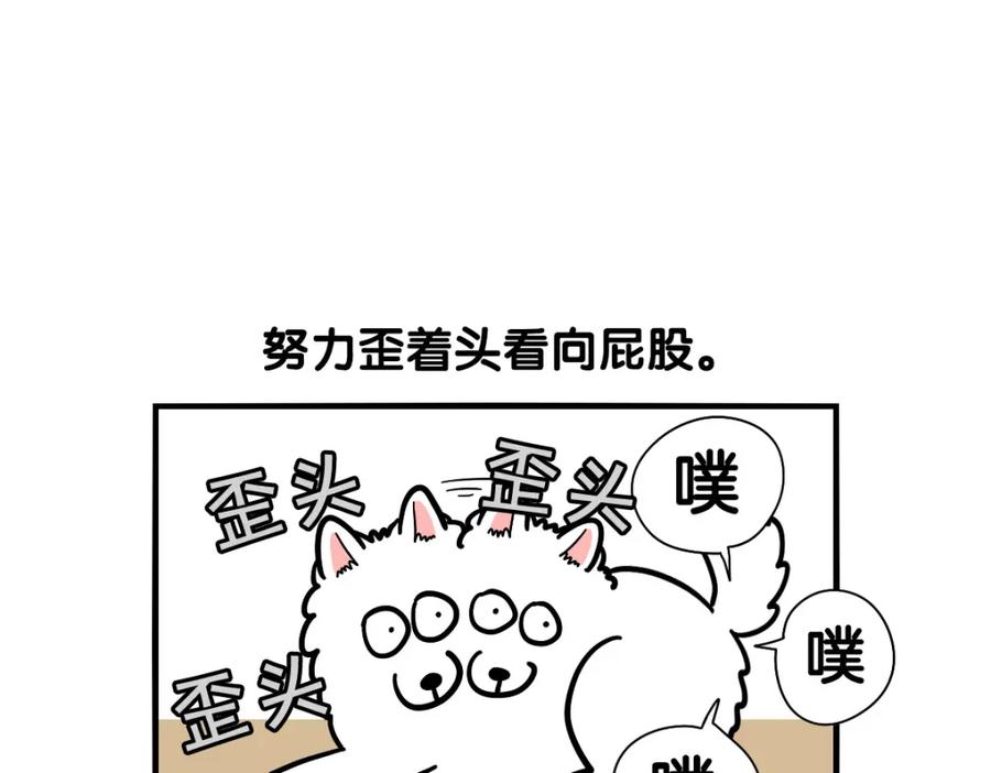 《我的狗子叫棉花》第37话 放屁狗狗 第24页