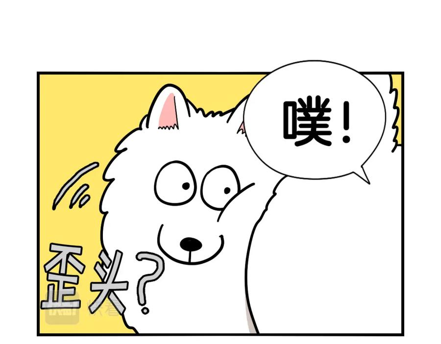 《我的狗子叫棉花》第37话 放屁狗狗 第23页