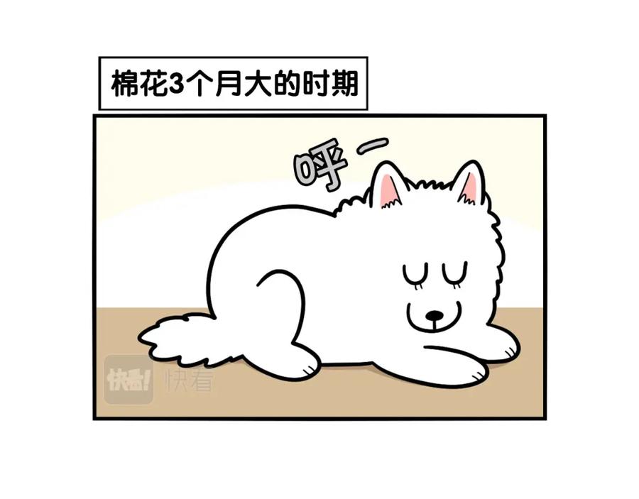《我的狗子叫棉花》第37话 放屁狗狗 第5页
