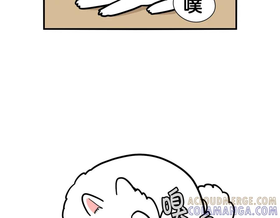《我的狗子叫棉花》第37话 放屁狗狗 第25页