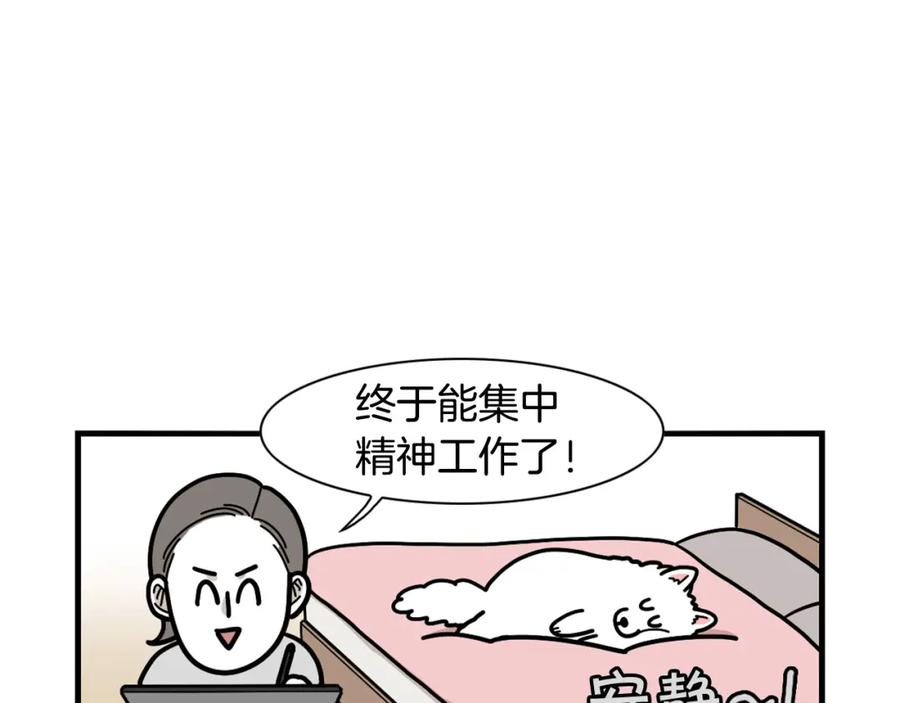 《我的狗子叫棉花》第37话 放屁狗狗 第71页