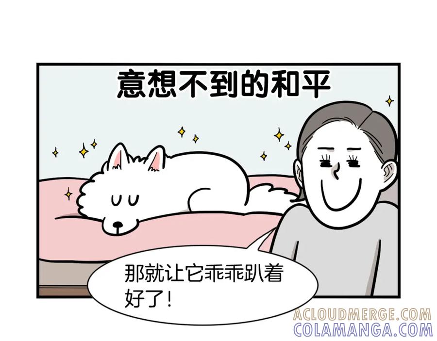 《我的狗子叫棉花》第37话 放屁狗狗 第70页