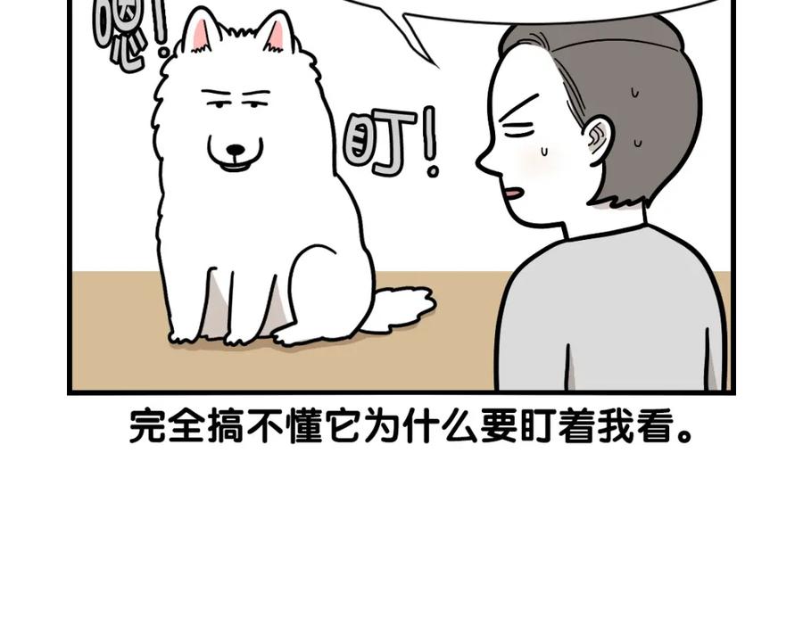 《我的狗子叫棉花》第37话 放屁狗狗 第27页
