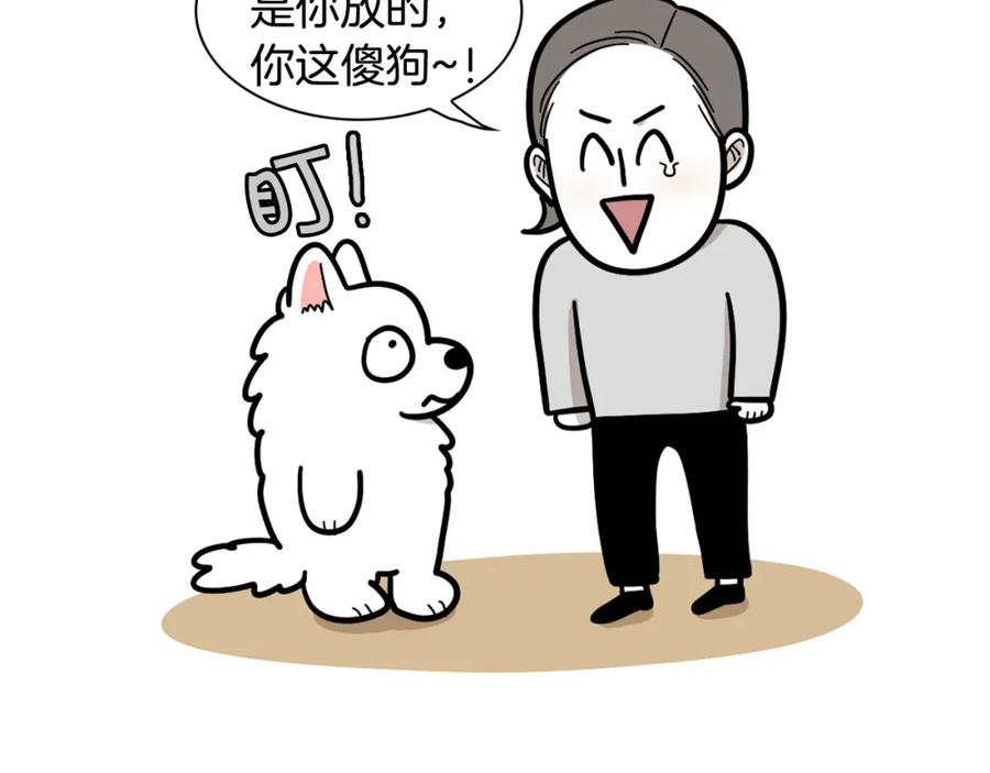 《我的狗子叫棉花》第37话 放屁狗狗 第14页