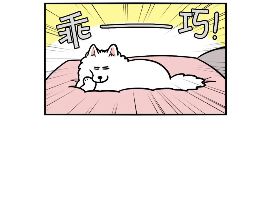 《我的狗子叫棉花》第37话 放屁狗狗 第69页