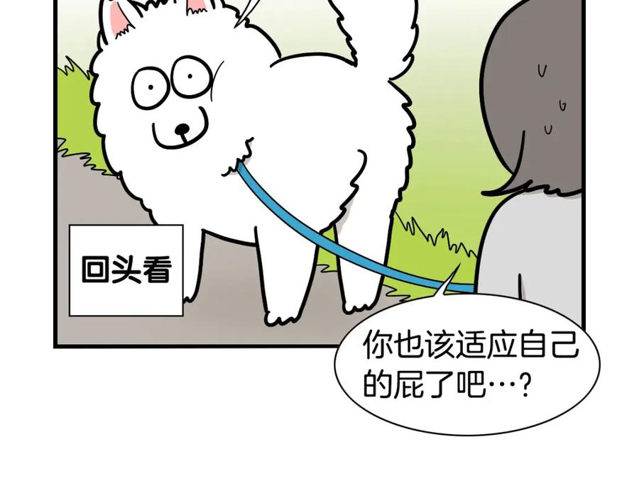 《我的狗子叫棉花》第37话 放屁狗狗 第32页