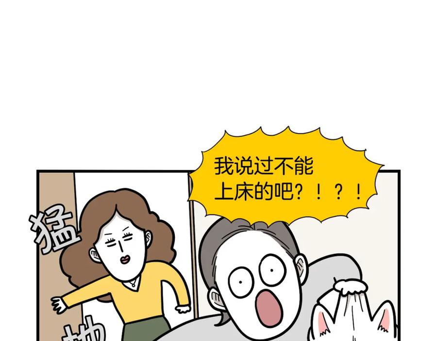 《我的狗子叫棉花》第37话 放屁狗狗 第74页