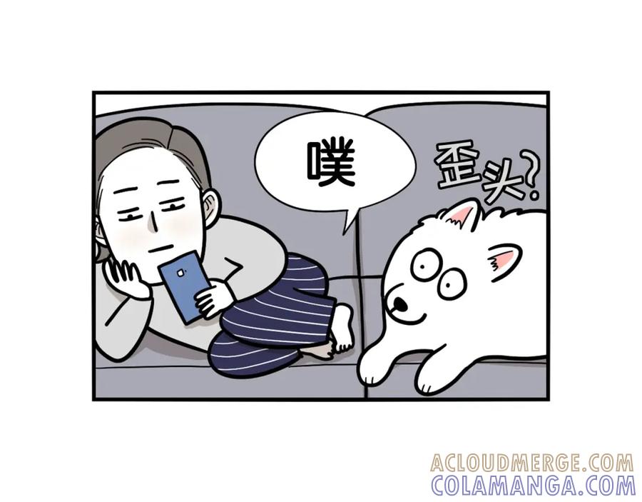 《我的狗子叫棉花》第37话 放屁狗狗 第43页