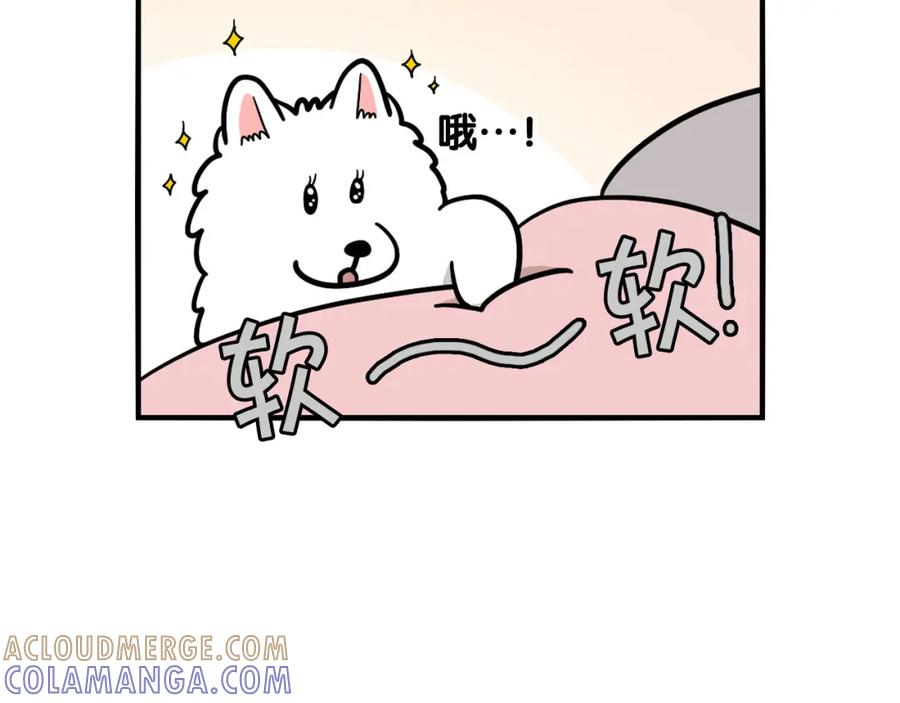 《我的狗子叫棉花》第37话 放屁狗狗 第61页