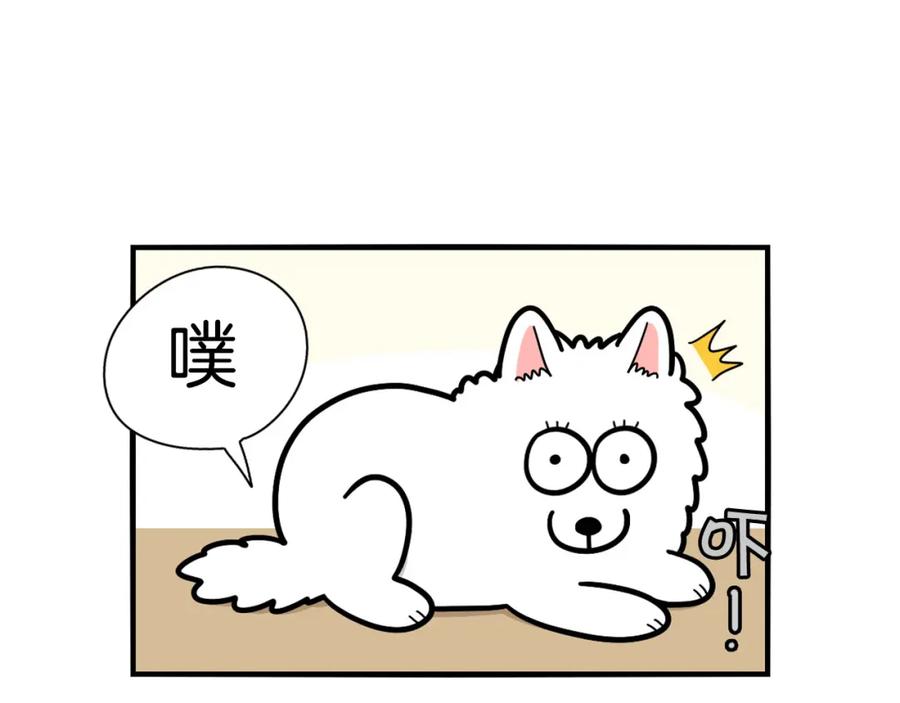 《我的狗子叫棉花》第37话 放屁狗狗 第6页