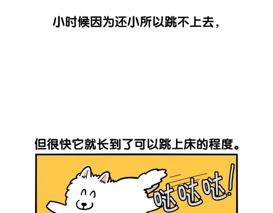 《我的狗子叫棉花》第37话 放屁狗狗 第50页