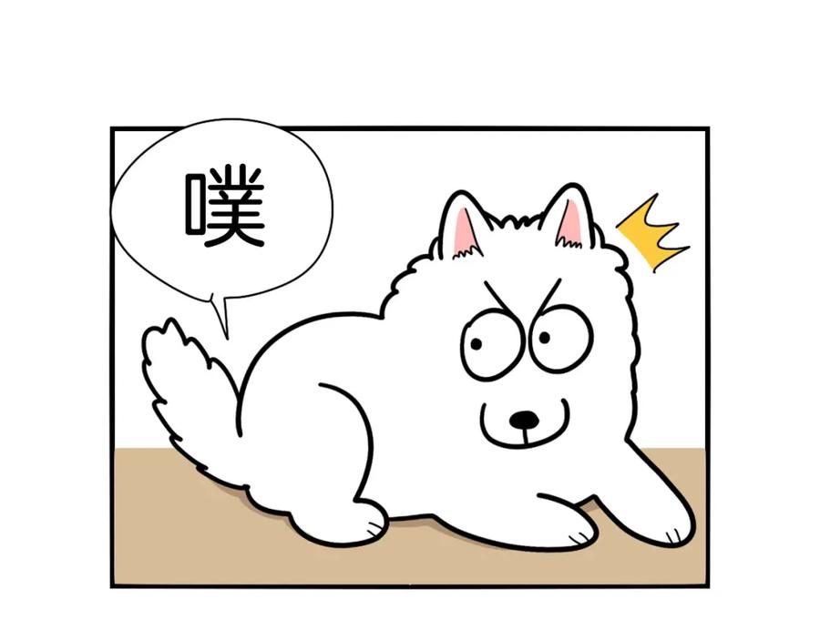 《我的狗子叫棉花》第37话 放屁狗狗 第11页