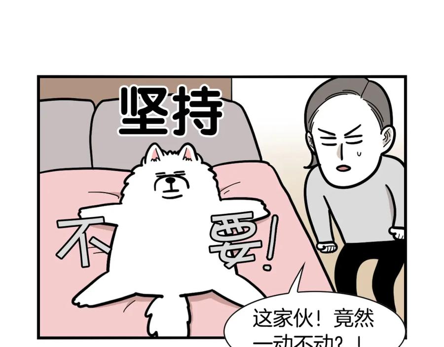 《我的狗子叫棉花》第37话 放屁狗狗 第65页