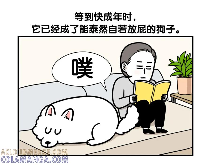 《我的狗子叫棉花》第37话 放屁狗狗 第34页