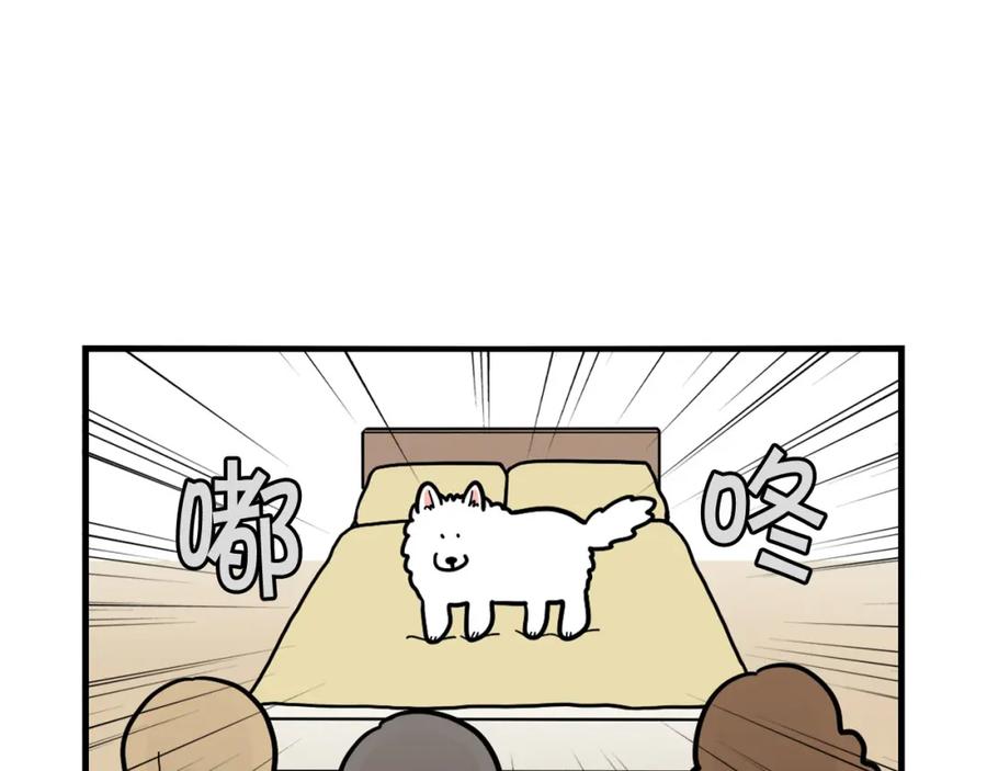 《我的狗子叫棉花》第37话 放屁狗狗 第53页