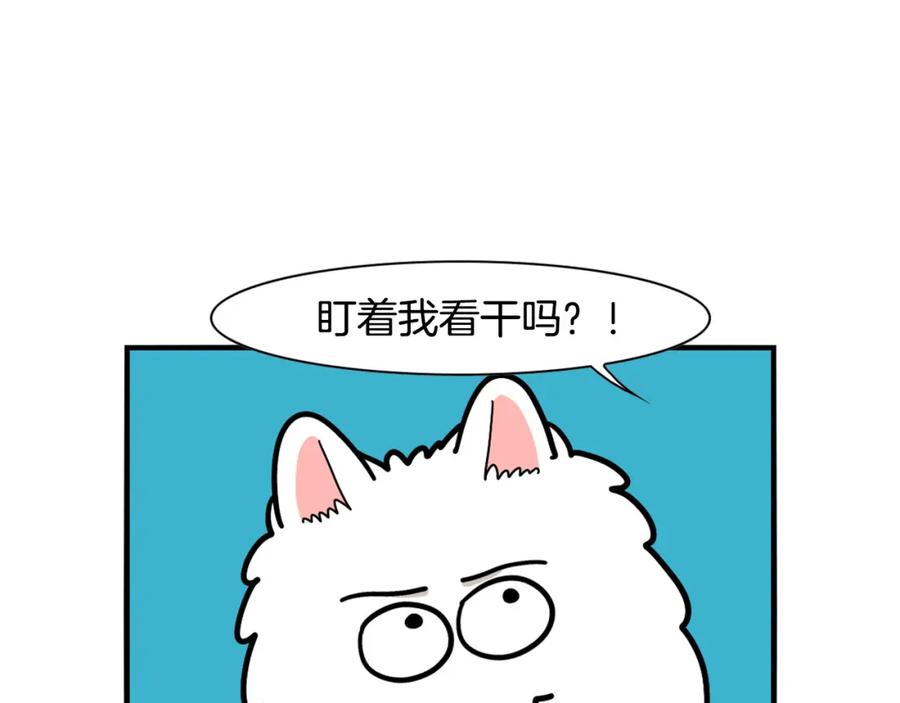 《我的狗子叫棉花》第37话 放屁狗狗 第15页