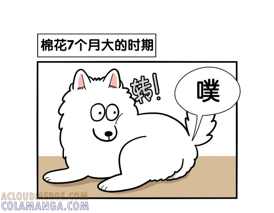 《我的狗子叫棉花》第37话 放屁狗狗 第19页