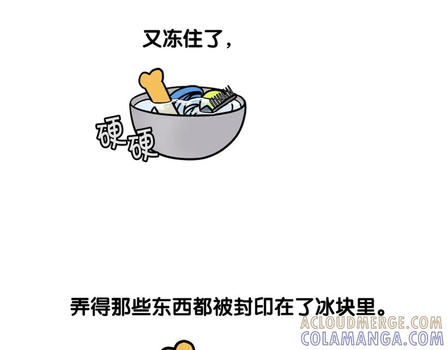 《我的狗子叫棉花》第38话 不怕冷 第34页