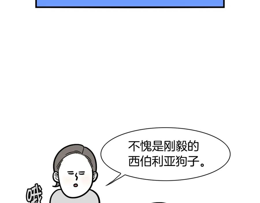 《我的狗子叫棉花》第38话 不怕冷 第27页