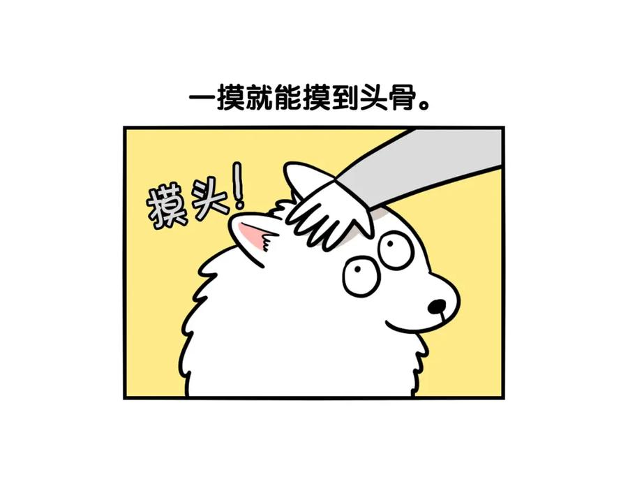 《我的狗子叫棉花》第38话 不怕冷 第42页