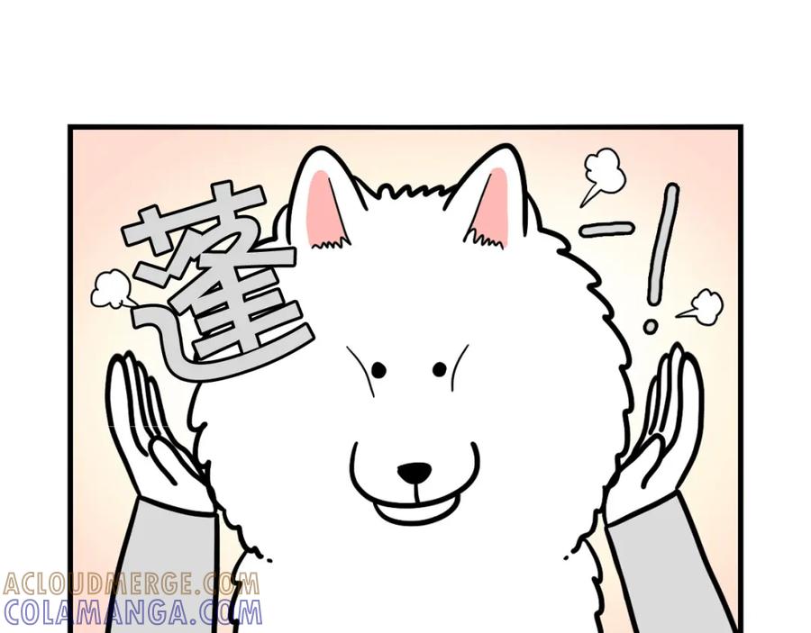 《我的狗子叫棉花》第38话 不怕冷 第52页
