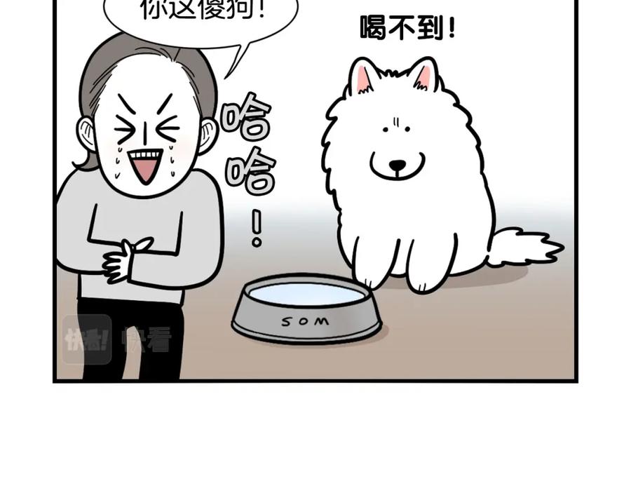 《我的狗子叫棉花》第38话 不怕冷 第23页