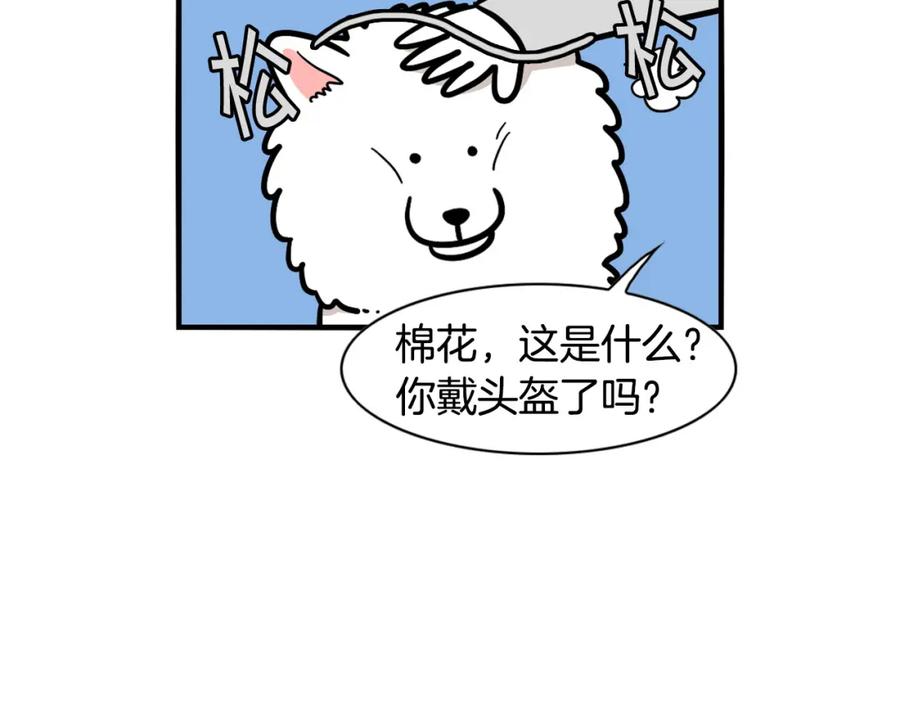 《我的狗子叫棉花》第38话 不怕冷 第45页