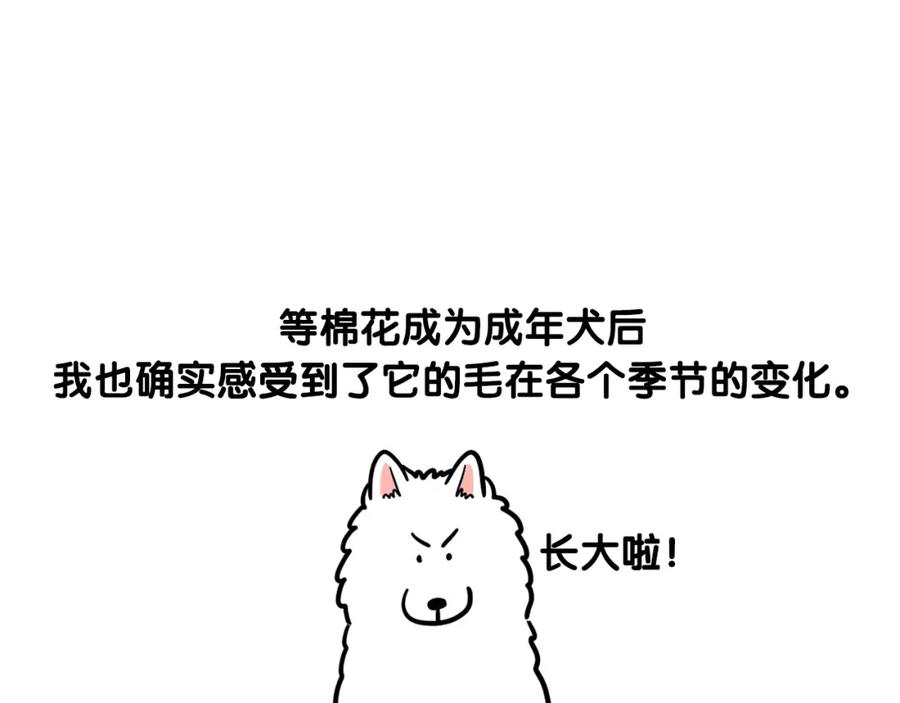 《我的狗子叫棉花》第38话 不怕冷 第39页