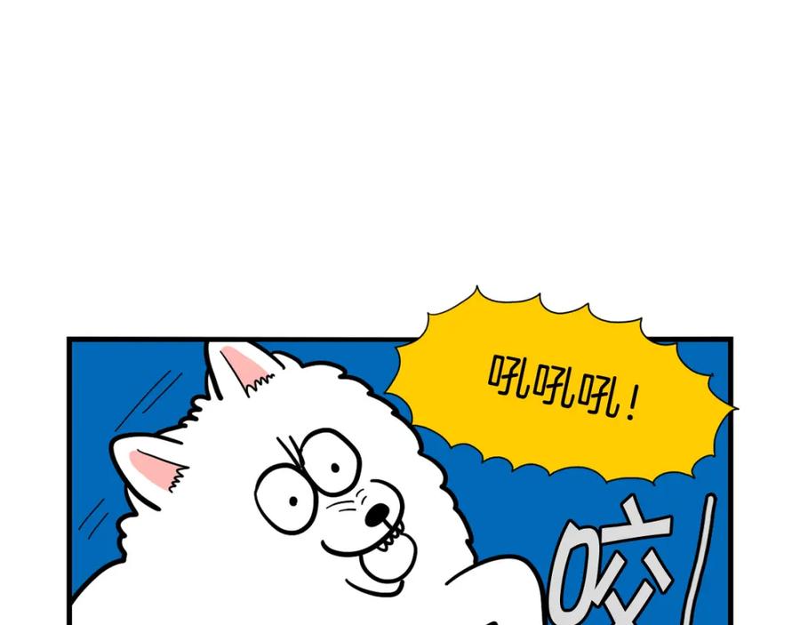 《我的狗子叫棉花》第38话 不怕冷 第60页