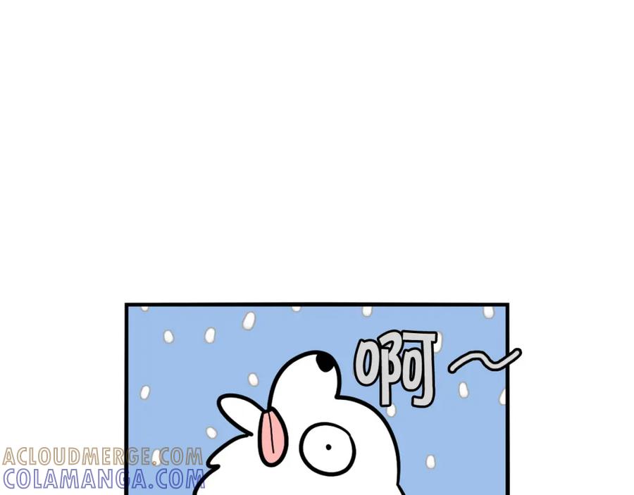 《我的狗子叫棉花》第38话 不怕冷 第10页