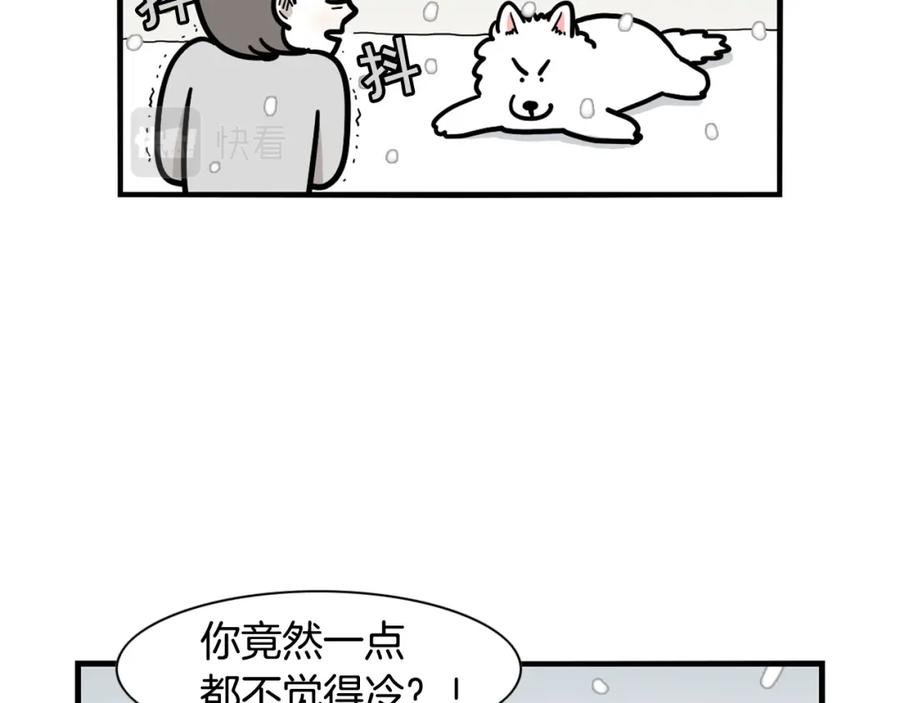《我的狗子叫棉花》第38话 不怕冷 第15页