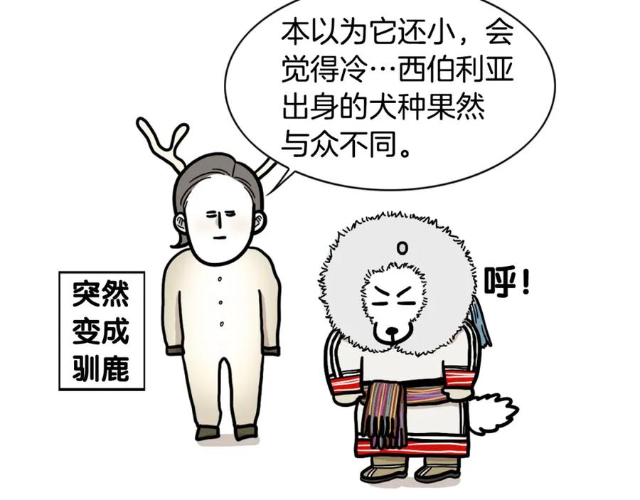 《我的狗子叫棉花》第38话 不怕冷 第17页