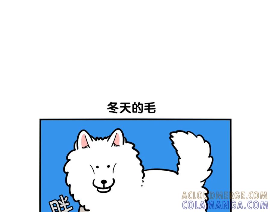 《我的狗子叫棉花》第38话 不怕冷 第43页