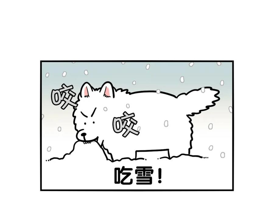 《我的狗子叫棉花》第38话 不怕冷 第9页