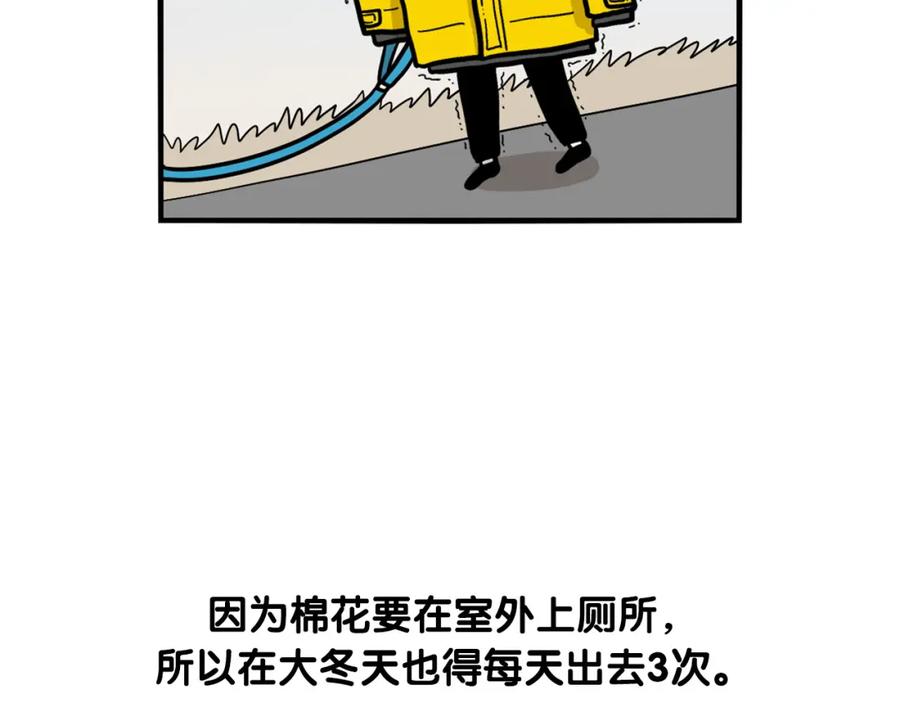 《我的狗子叫棉花》第38话 不怕冷 第75页