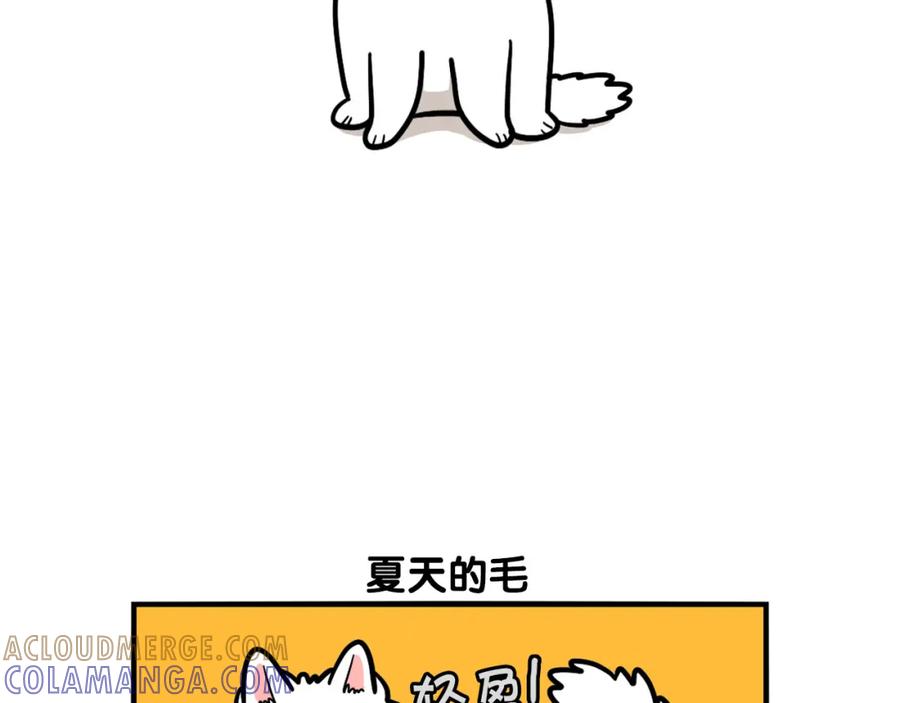 《我的狗子叫棉花》第38话 不怕冷 第40页