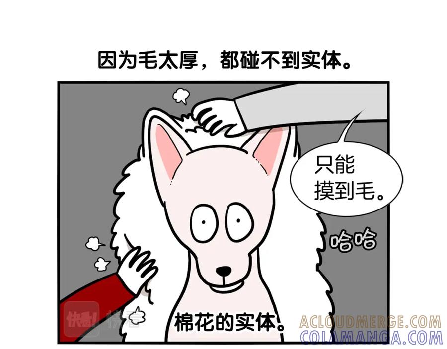 《我的狗子叫棉花》第38话 不怕冷 第46页