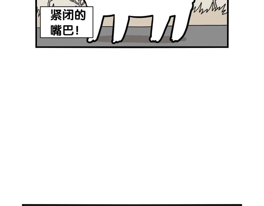 《我的狗子叫棉花》第38话 不怕冷 第72页