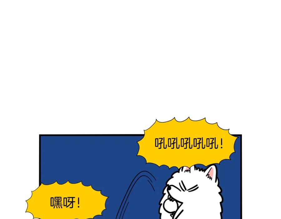 《我的狗子叫棉花》第38话 不怕冷 第63页