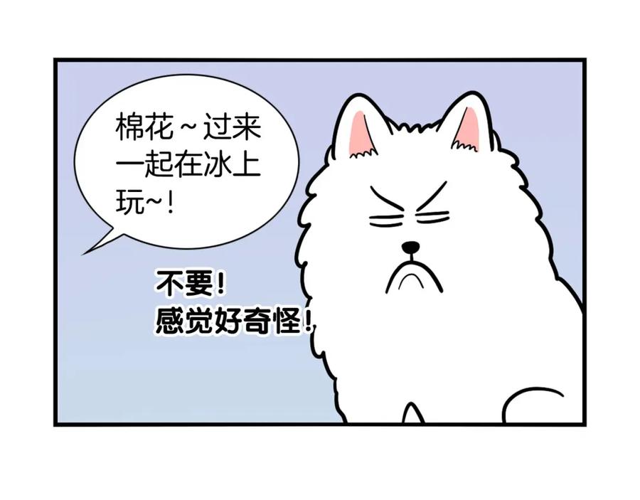 《我的狗子叫棉花》第38话 不怕冷 第87页