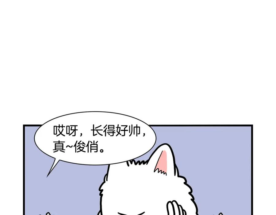 《我的狗子叫棉花》第38话 不怕冷 第50页