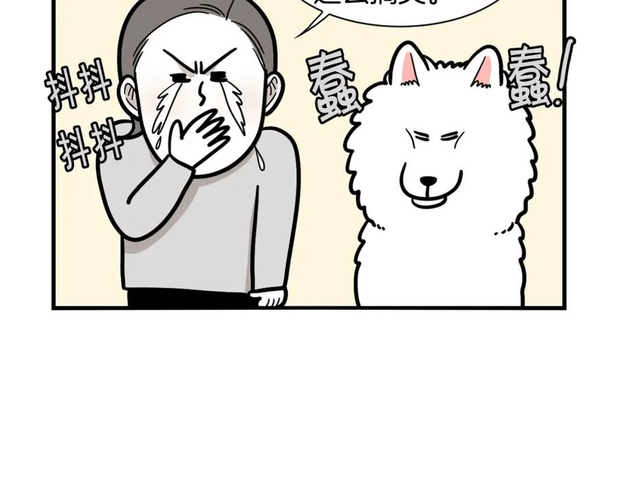 《我的狗子叫棉花》第38话 不怕冷 第54页