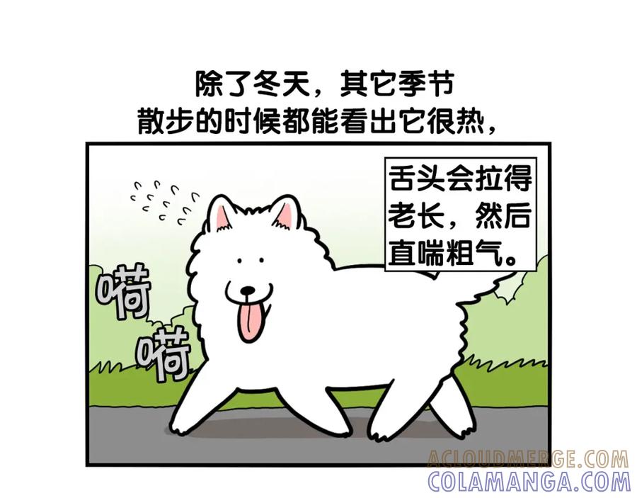 《我的狗子叫棉花》第38话 不怕冷 第70页
