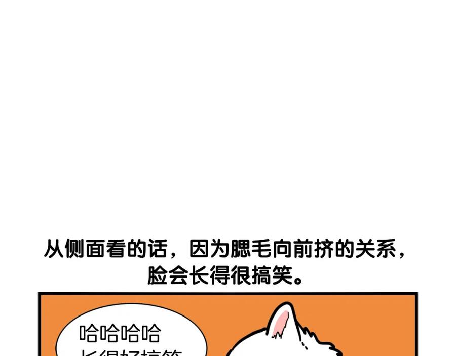《我的狗子叫棉花》第38话 不怕冷 第47页