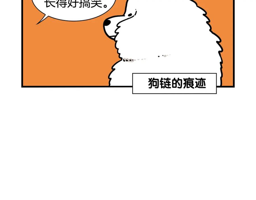 《我的狗子叫棉花》第38话 不怕冷 第48页